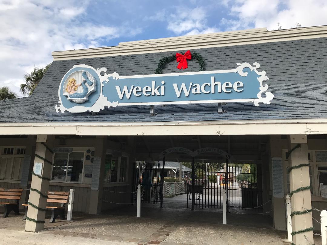 A Weeki Wachee Reprise