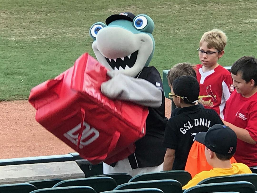 Hammerhead Fun in Jupiter