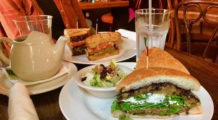 Fresh Start in Sarasota