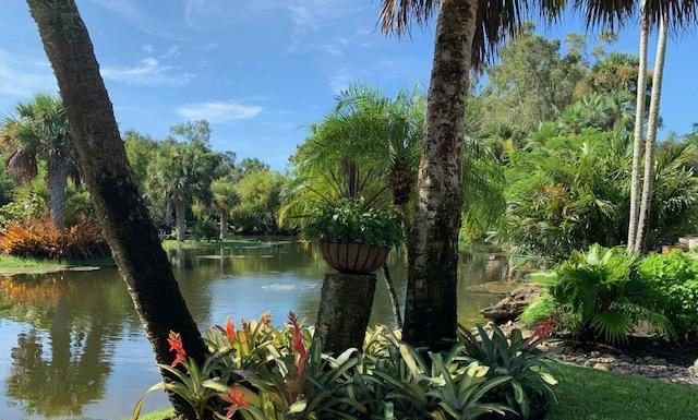 Rock City Gardens – Much More Than a Nursery