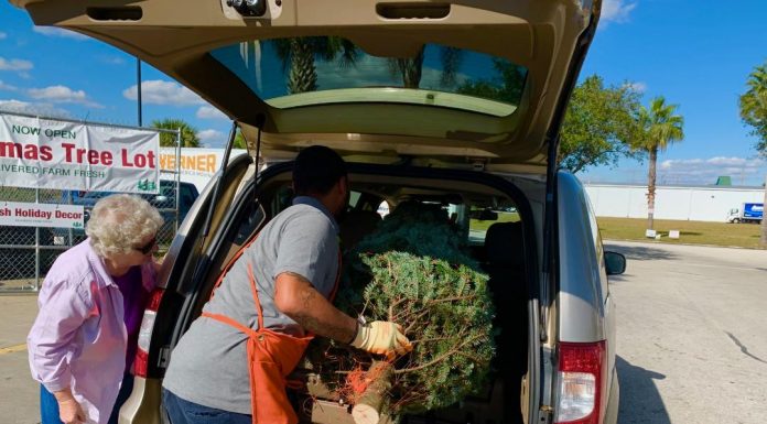 Hauling Your Christmas Tree Safely