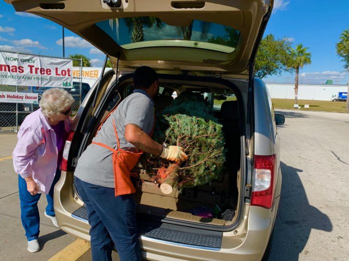 ChristmasTreeLoading-1