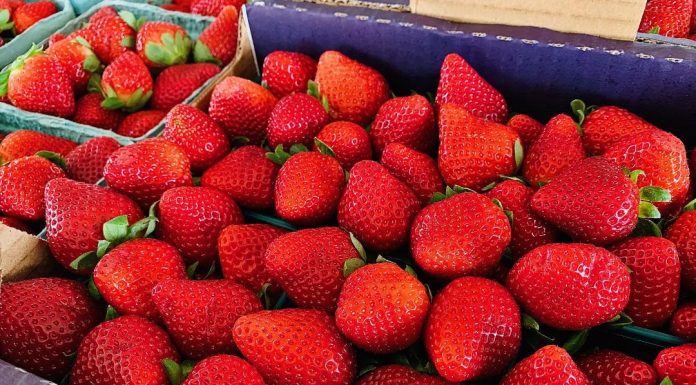 February is Fabulous Florida Strawberry Month