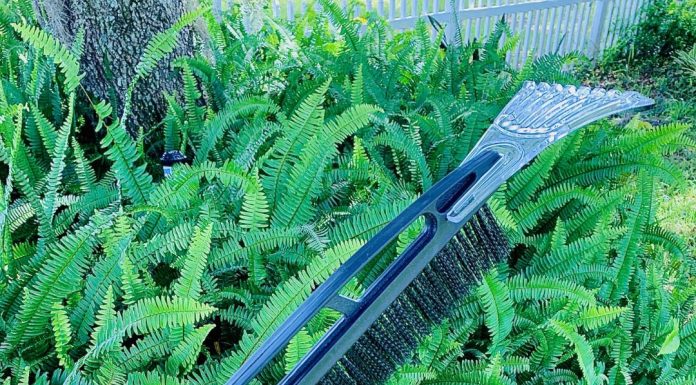 A New Travel Hack – A Snow Brush in Florida