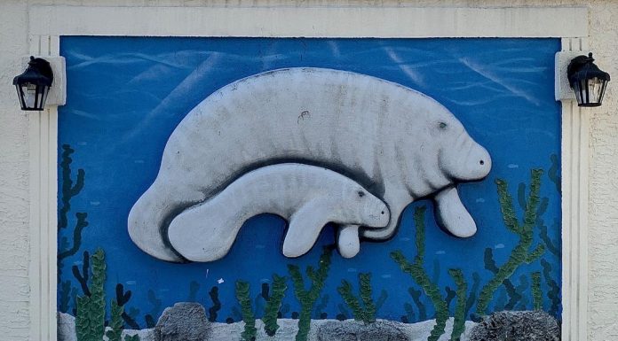 The Retreat at Crystal Manatee is a Real Treat