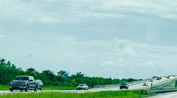 Florida Thanksgiving Travel Down for 2020