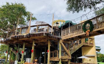 Dinner in the Treetops – Dining at Norwood’s