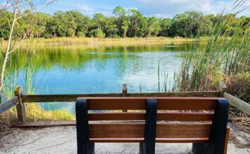 Oscar Scherer State Park