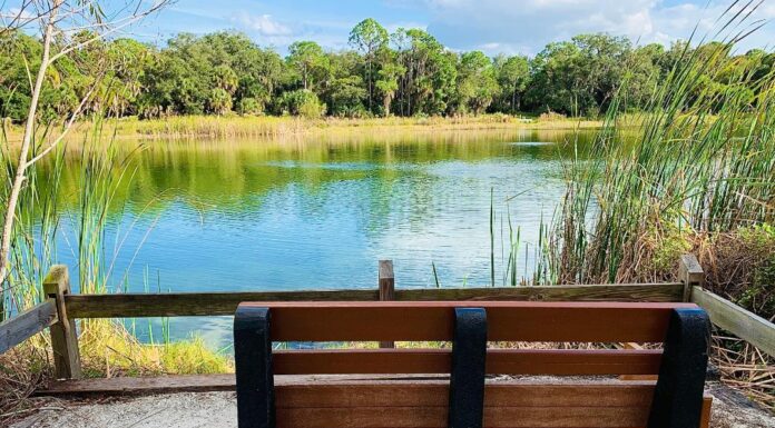 Oscar Scherer State Park