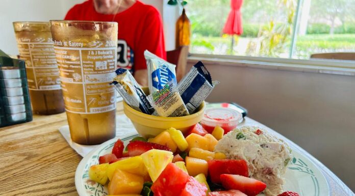 Dolly’s – a Hidden Gem in Bonita Springs a plate of sliced fruit