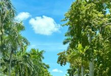 The Top 3 Ways Travel Will Keep You Young picture of a street in Fort Myers Beach Florida