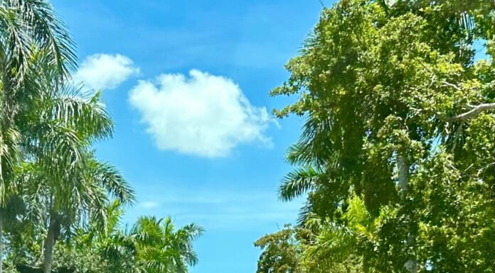 The Top 3 Ways Travel Will Keep You Young picture of a street in Fort Myers Beach Florida