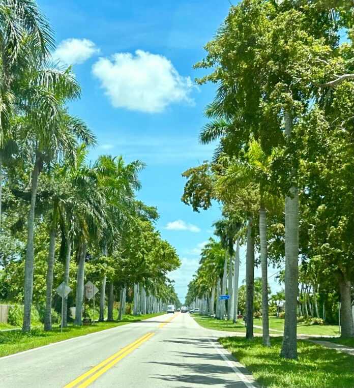 picture of a street in Fort Myers Beach Florida